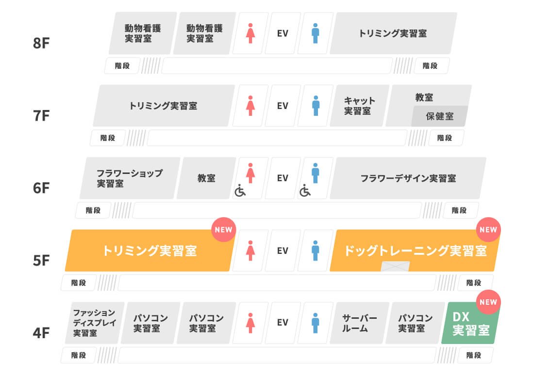 4F:ファッションディスプレイ実習室・パソコン実習室・サーバールーム・DX実習室, 5F:トリミング実習室・ドッグトレーニング実習室, 6F:フラワーショップ実習室・教室・フラワーデザイン実習室, 7F:トリミング実習室・キャット実習室・教室・保全室, 8F:動物看護実習室・トリミング実習室