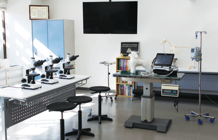 動物看護実習教室