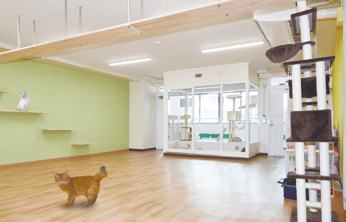 キャットルームのイメージ