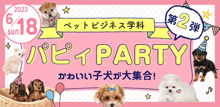 パピィパーティ