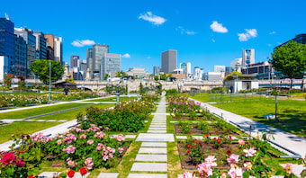 09 中之島公園（バラ園、散歩道）