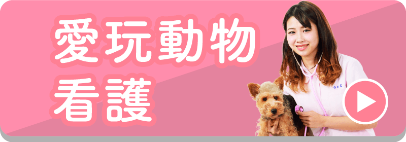 動物看護