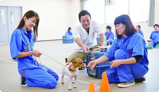 犬のしつけ体験