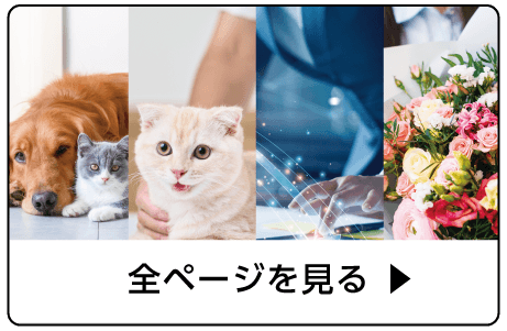 全ページ見る
