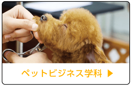 ペットビジネス学科