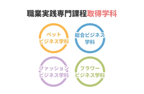 総合型選抜（AO入学）者全員が、希望の就職を実現！0.5年間の入学前AOプレスクールにより、入学時ですでに就活準備が万全！よりワンランク上の希望の就職先へ！！