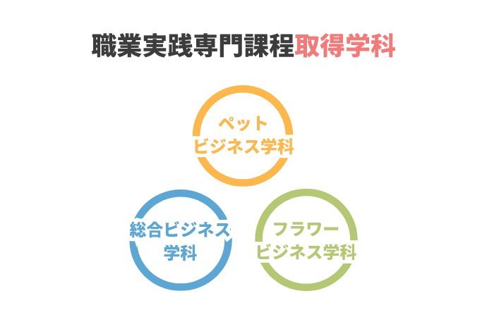 総合型選抜（AO入学）者全員が、希望の就職を実現！0.5年間の入学前AOプレスクールにより、入学時ですでに就活準備が万全！よりワンランク上の希望の就職先へ！！