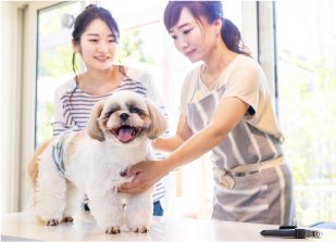  Adachi Education Group