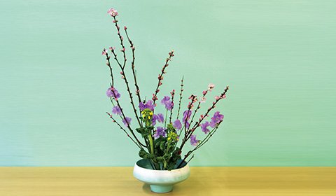 華道（未生流中山文甫会）