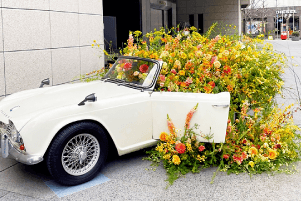 神戸コレクション