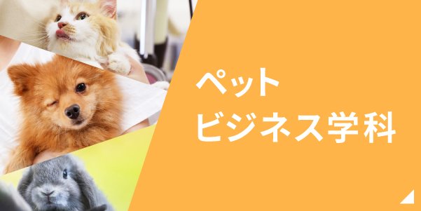 ペットビジネス学科はこちら