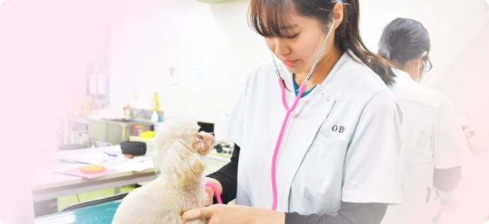 ペットビジネス学科動物看護専攻のイメージ