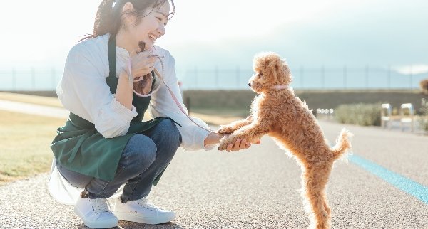 キャンパスライフ・在校生の1週間のイメージ