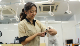 グルーミング実習ではいろんな犬種のカットを学びます