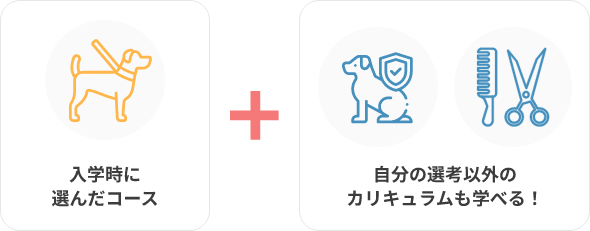 入学時に選んだコース＋自分の専攻以外のカリキュラムも学べる！