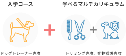 入学コース ドッグトレーナー専攻 + 学べるマルチカリキュラム トリミング専攻、動物看護専攻