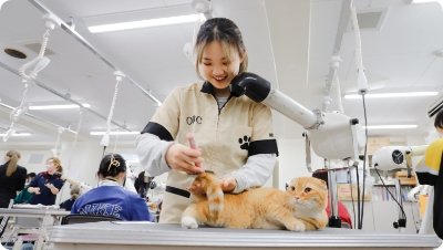 ドッグ&キャットコース