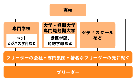 ブリーダーになるためのフローチャート