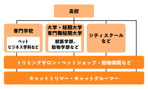 キャットグルーマーになるためのフローチャート
