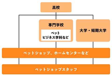 ペットショップスタッフになるためのフローチャート
