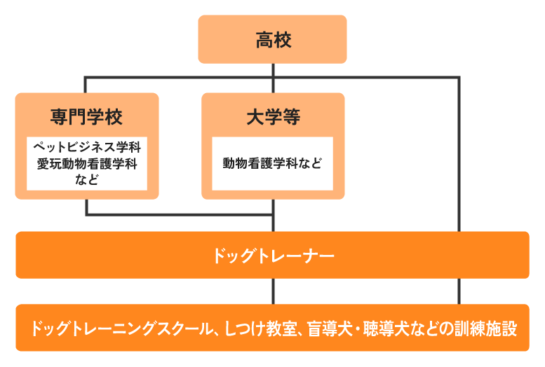 ドッグトレーナーになるためのフローチャート