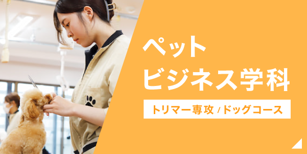 ペットビジネス学科トリマー専攻ドッグコースはこちら