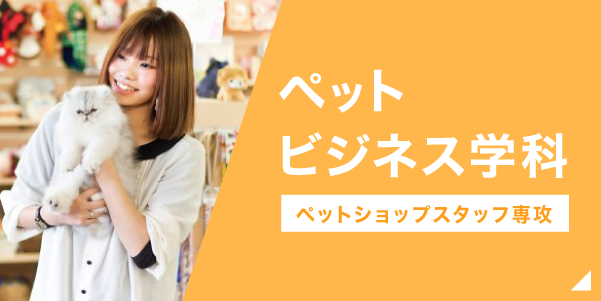 ペットビジネス学科ペットショップ専攻はこちら