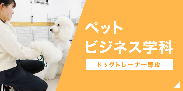 ペットビジネス学科ドッグトレーナー専攻はこちら