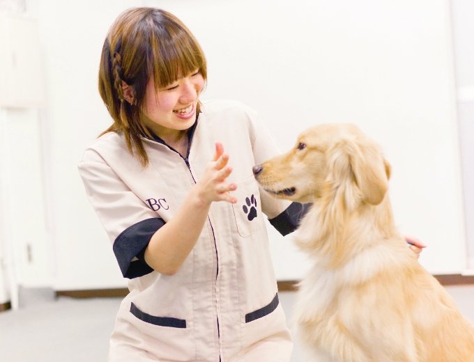 ペットビジネス学科のメインビジュアル