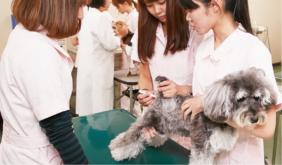 ペット健康管理