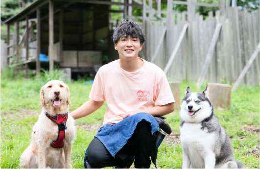 業界就職率91.1％！