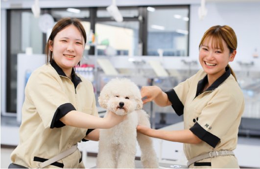 マルチカリキュラムで幅広い知識を身に着ける！