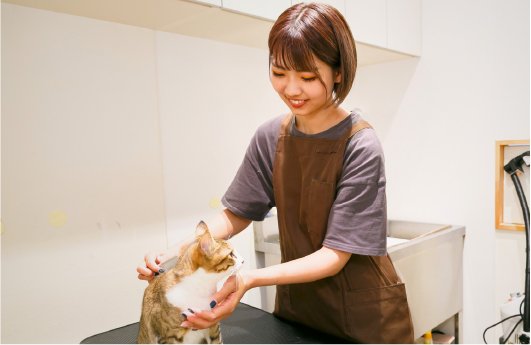 充実のインターンシップ制度