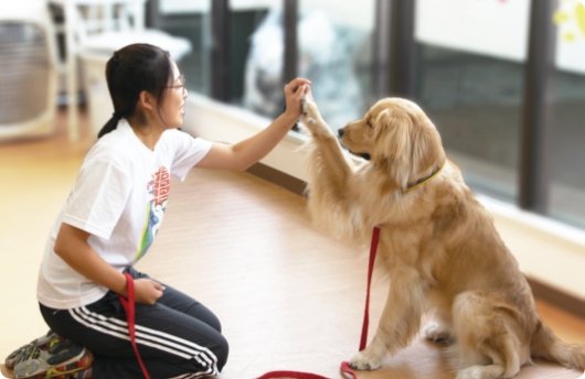 担当犬制度があるからしっかりした学びができる