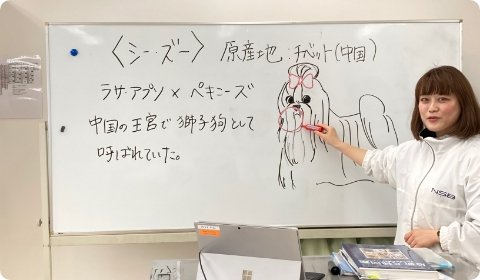 犬種学