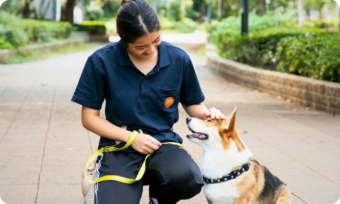 ドッグトレーナー専攻のイメージ