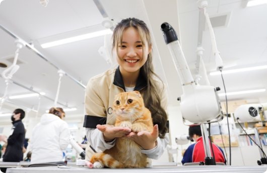 猫種の知識・グルーミング技術を学べる授業が充実！