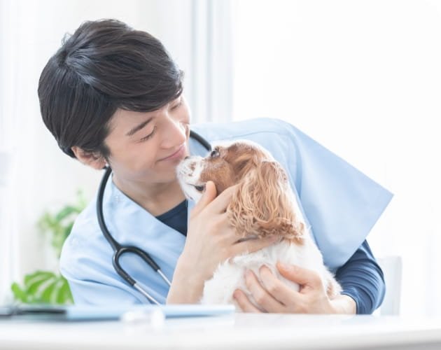 動物看護士のイメージ