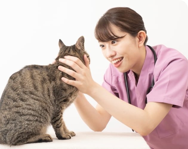 動物介護士のイメージ