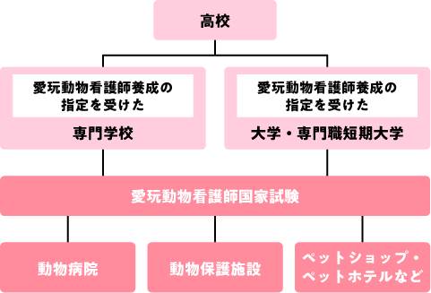 愛玩動物看護師になるためのフローチャート