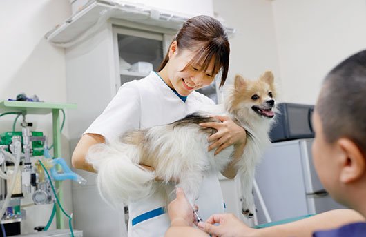 動物看護師を目指す愛玩動物看護学科｜専門学校大阪ビジネス・アカデミー