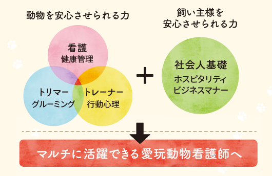 マルチカリキュラム