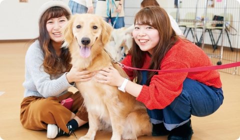 犬種学