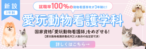 新設3年制 愛玩動物看護学科 国家資格「愛玩動物看護師」をめざせる！ 【愛玩動物看護師養成所】（大阪府の指定認可済） 詳しくはこちら