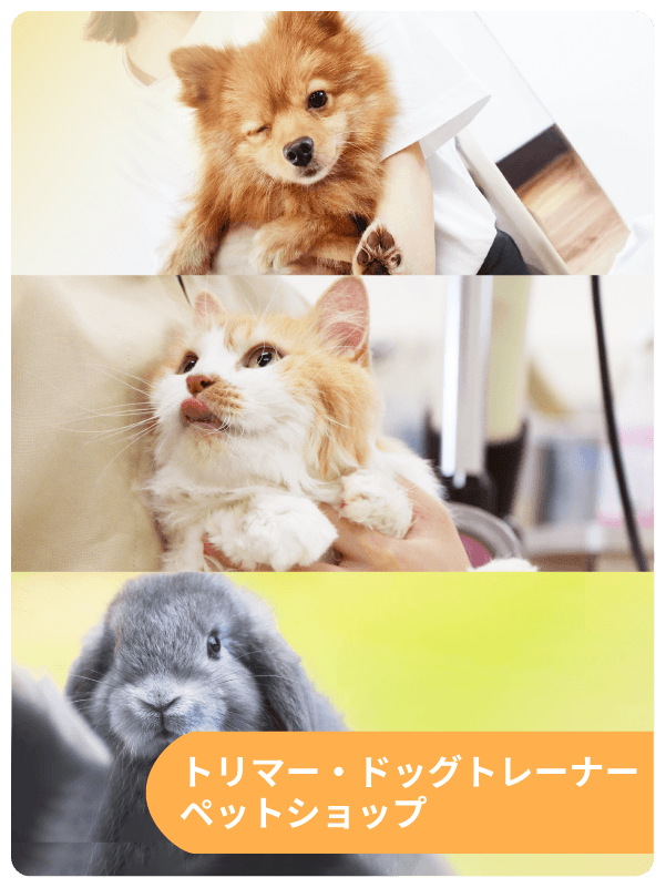 ペットビジネス学科