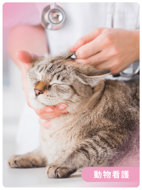 愛玩動物看護学科