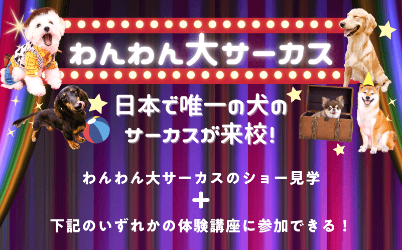 わんわん大サーカス