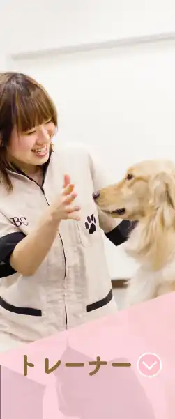 トレーナー