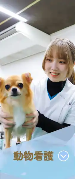 動物看護