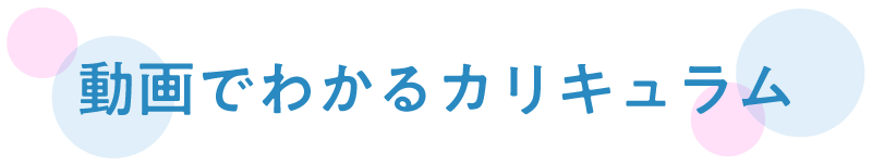 動画でわかるカリキュラム